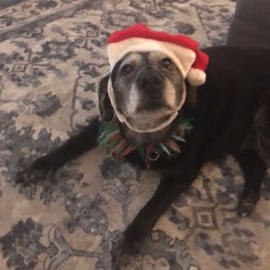 Meet your Posher, Christiana